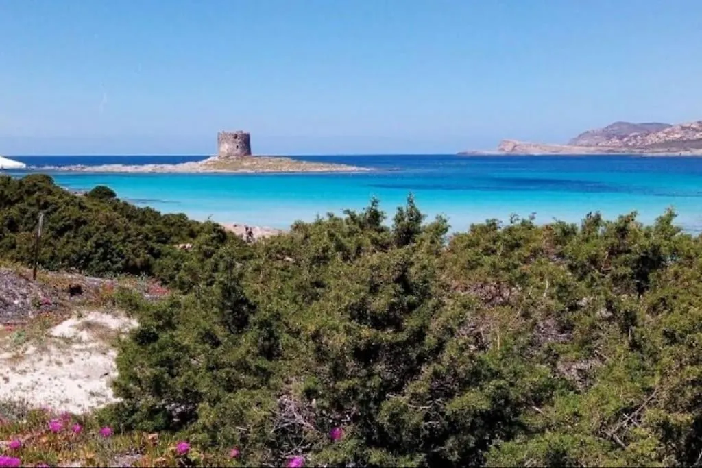 Clicksardegna Villa Regina Stintino Sea View With Pool And Garden Punta de su Torrione